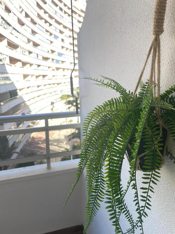 Vive El Mediterraneo - Apartamento Con Piscina En Cullera Eksteriør billede